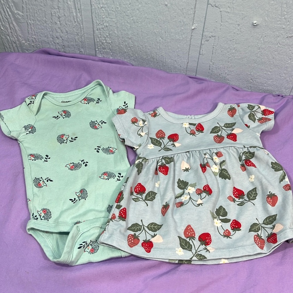 5 for $10 💜 Garnimals strawberry dress size 0-3 months